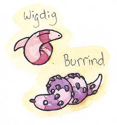 Wiggle Worms