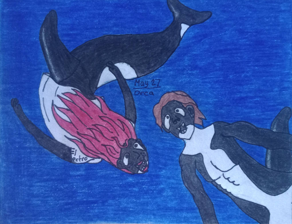 MerMay 27, 2022 Orca by EIectr0 on DeviantArt