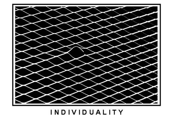 Individuality