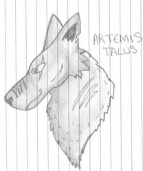 Artemis Talus