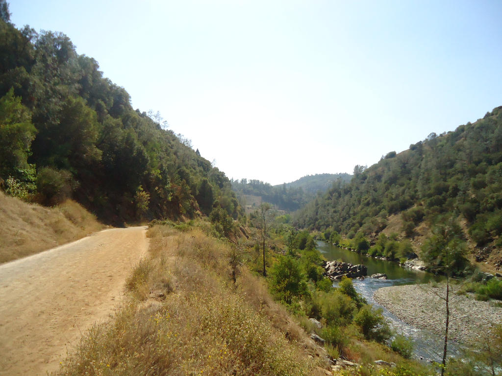 American River Trail 02