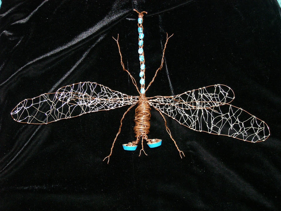 Astrid, the Damselfly