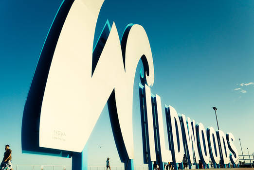 The Wildwoods