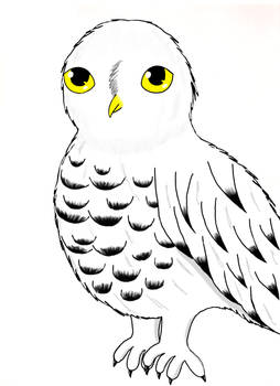 hedwig