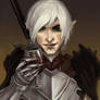 Fenris, Dragon Age 2