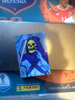 Skeletor Atc