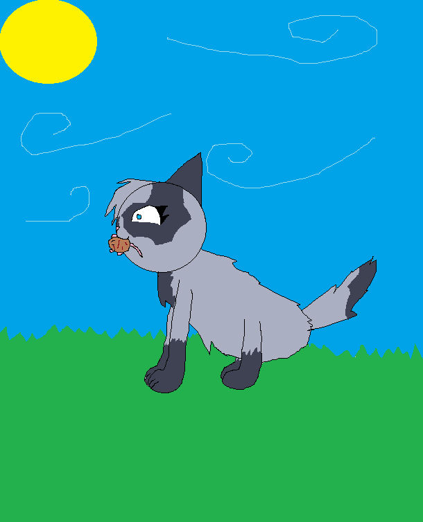 Splashkit by xThe0dd10ut on DeviantArt