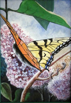 Butterfly and lilacs