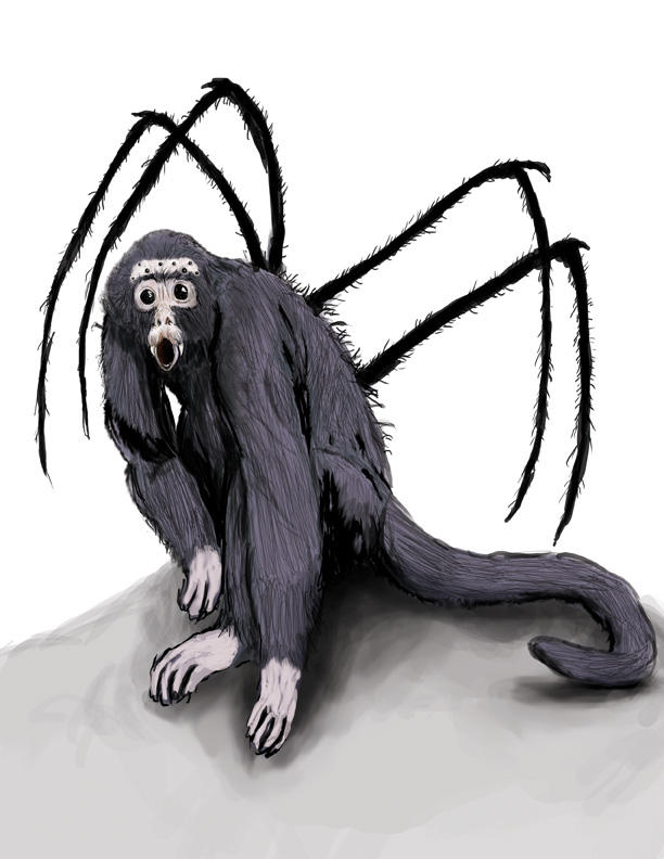 Spider Monkey Deviantart Spider Monkey by tlmolly86 on DeviantArt