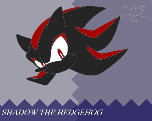 Shadow The Hedgehog 💖Liah💖 - Illustrations ART street
