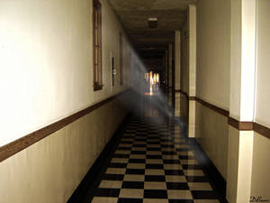 All Quiet in the Corridors