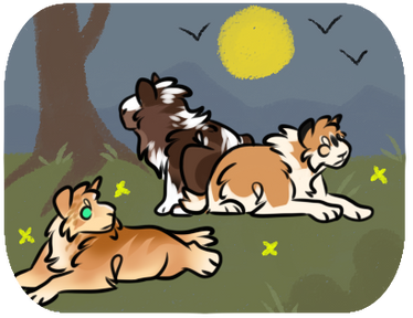 starcanid Explore 3-3