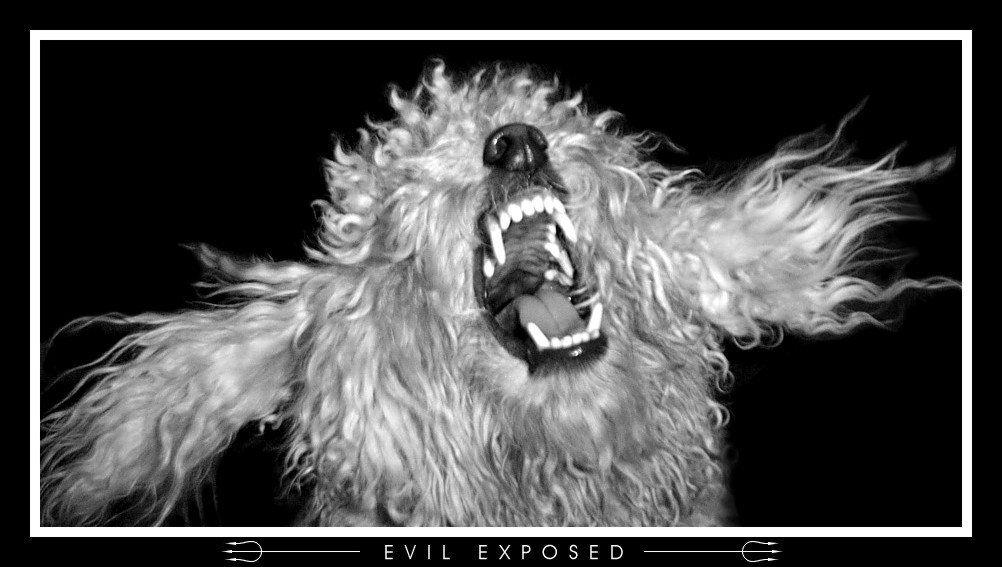 psycho le poodle2-evil exposed