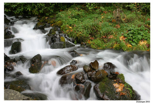 Creek after Rainfall