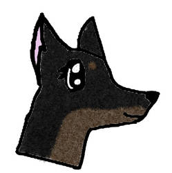 Doberman Pinscher Adoptable (open)