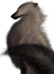 Realism projekt - Opossum-being