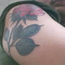 Rose tattoo