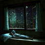 Sleep-in-the-forest