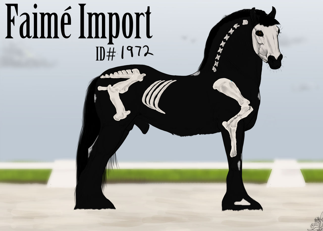 Faime Faime import 1972 by AutumnCreekFarms on DeviantArt