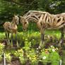 Mosaicultures Jardin Botanique de Montreal 2