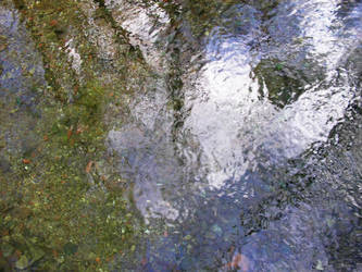 creek reflections 2