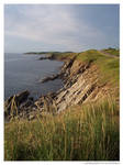 Acadian Shoreline by lissurlalunes