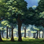 Forest in the morning