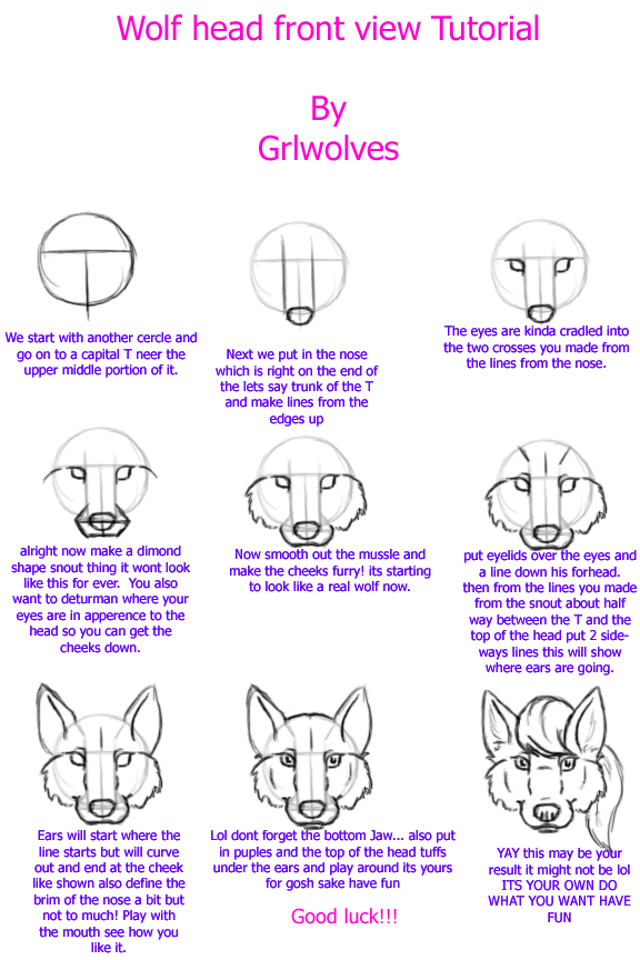wolf head front view tutorial