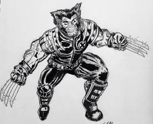 Wolverine