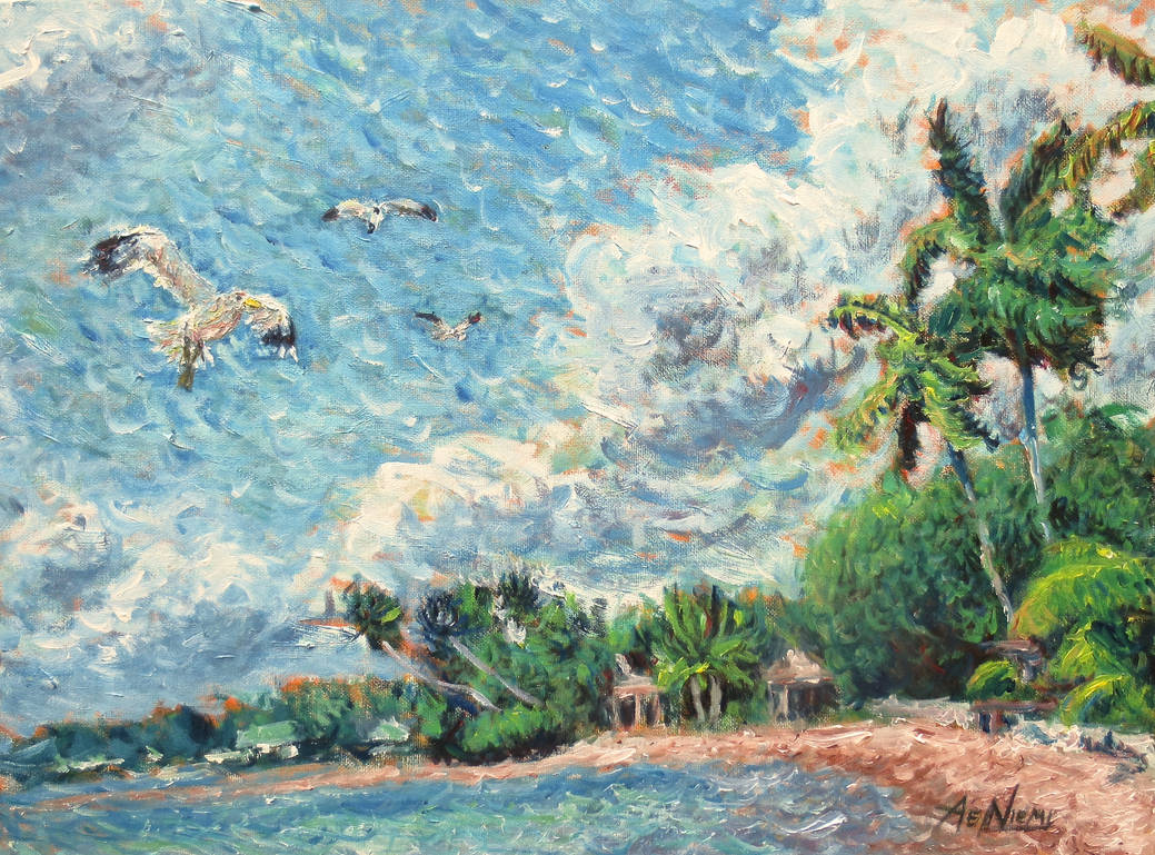 Seagulls Soaring Over Beach by AndrewENiemi Seagulls Soaring Over Beach by AndrewENiemi