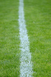 Football Grass