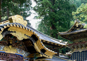 Toshogu Rooftops