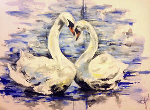 Swans