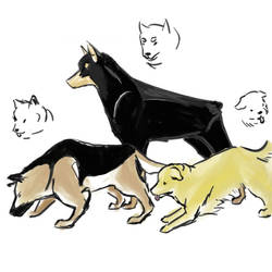 Hetalia-Germany's dogs