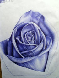 Blue Biro - Blooming Rose