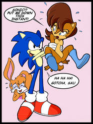 Put Me Down Sonic by CCN