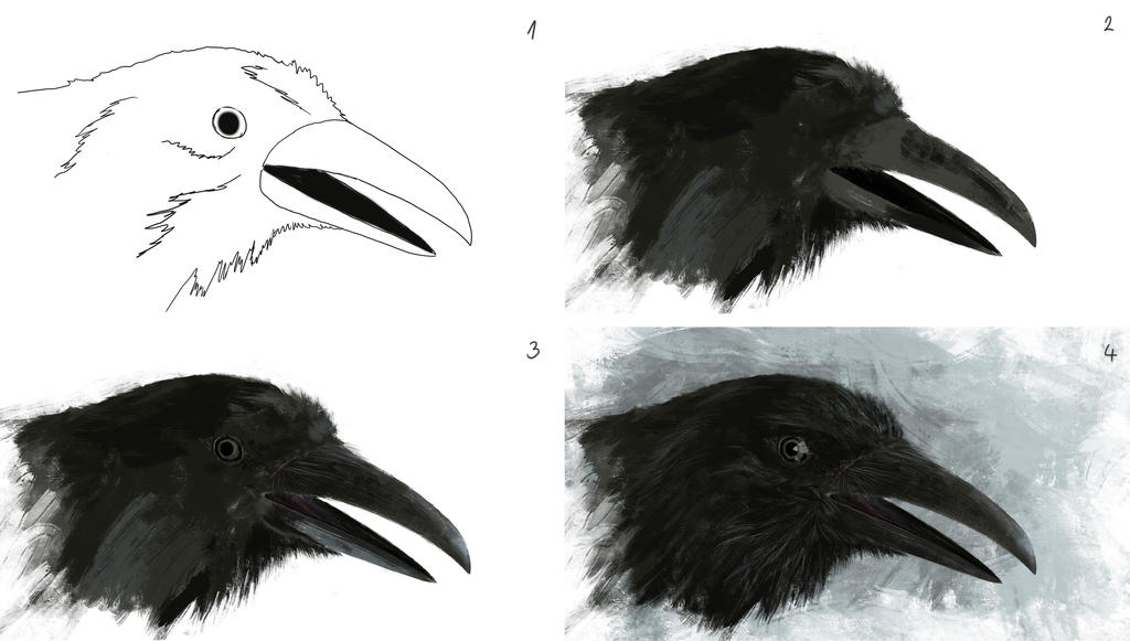 Raven: steps by VITOGH on DeviantArt