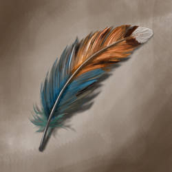 Feather Speedpaint