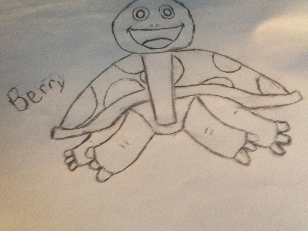 Berry's Turtle by sid35 on DeviantArt