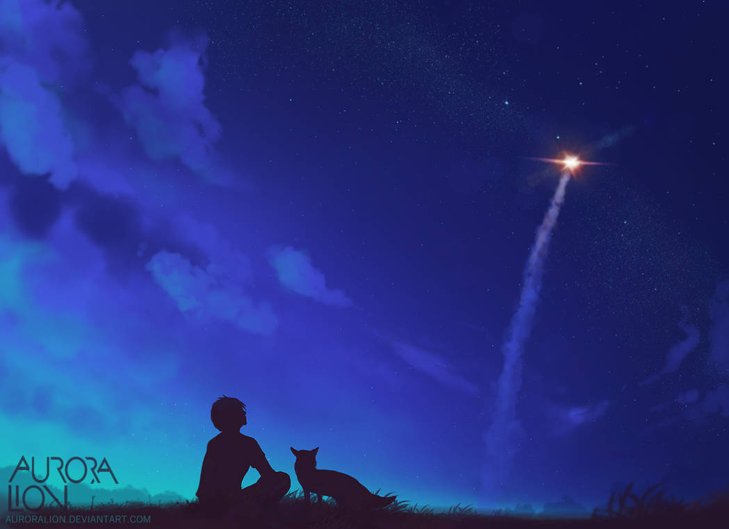 Ария смотрящего на звезды. Мальчик и звездное небо. Звездное небо и человек. Звезды не падают.