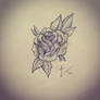 Pencil rose