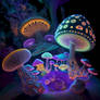 Mushrooms 07