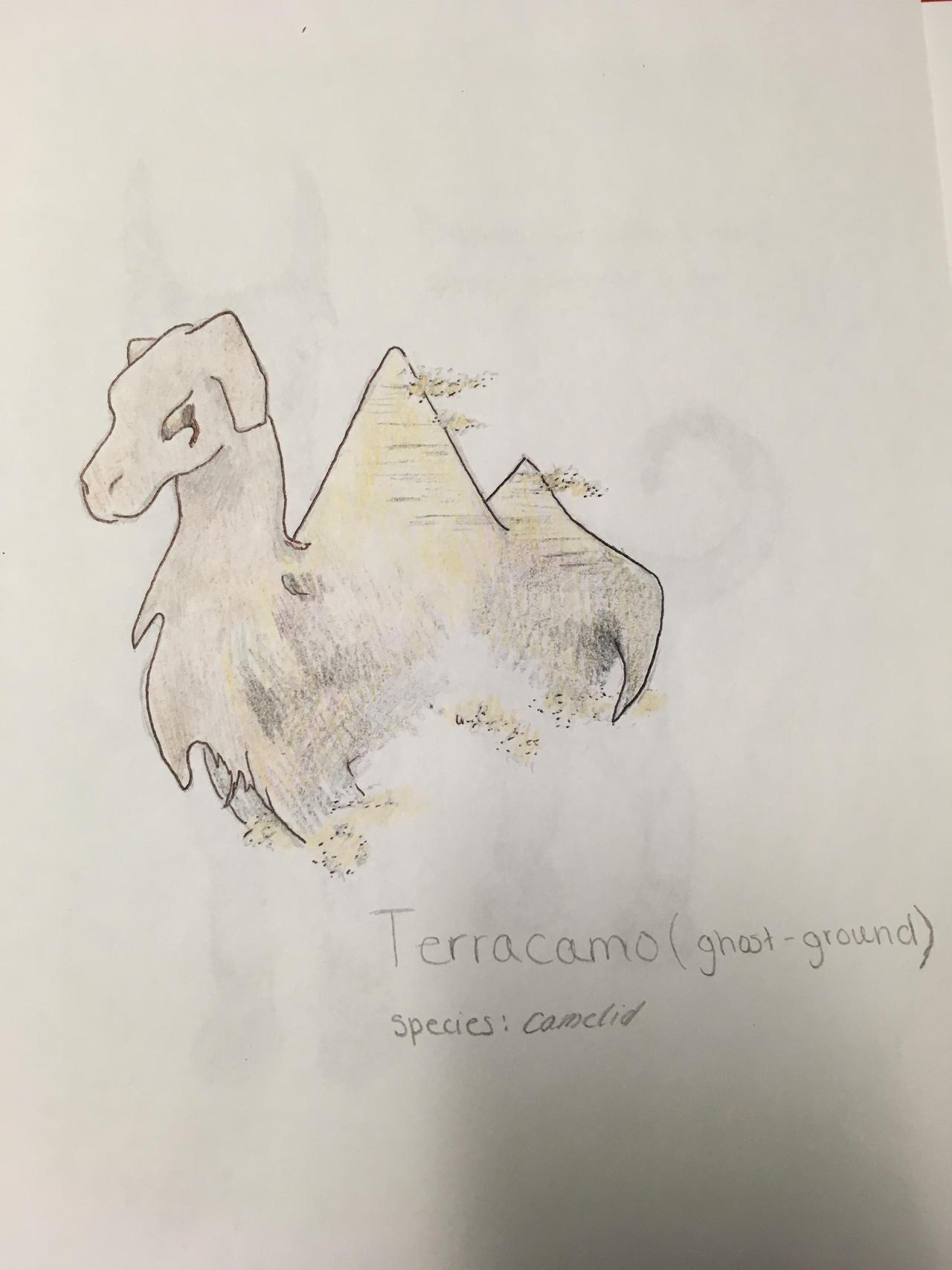 Camel Pokemon by FantasyViolence on DeviantArt