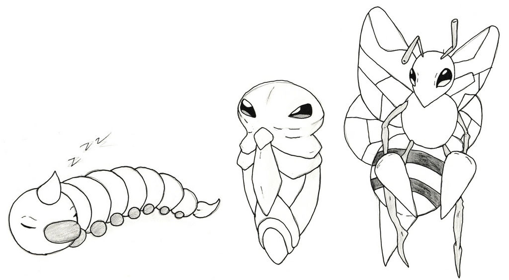 Weedle Evolution Line by Ankou-MagPie on DeviantArt