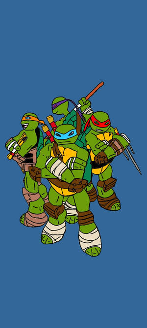Teenage Mutant Ninja Turtles Tartarughe Ninja