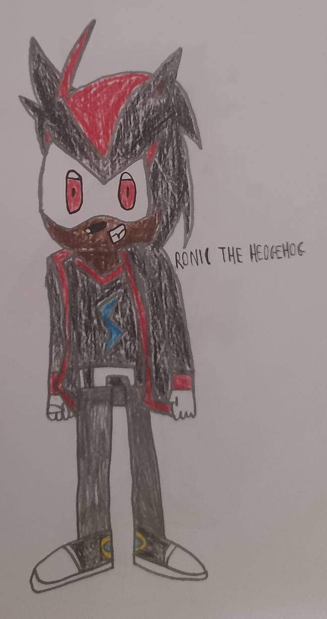 Ronic The Hedgehog by SuperNicco on DeviantArt