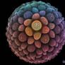 Pollen Grain