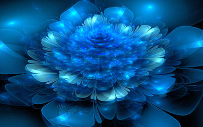 Blue Petals