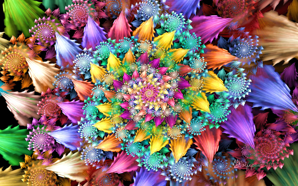 Rose Rosoni Spiral by wolfepaw Rose Rosoni Spiral by wolfepaw