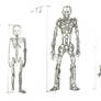 Toa and Matoran size comparison